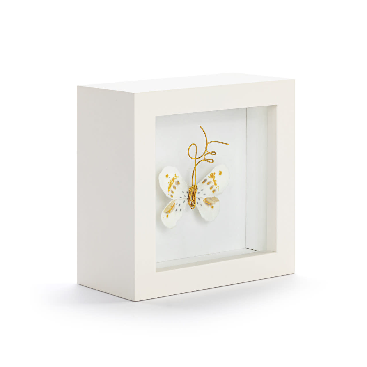 Elisabeth Hays Love From Above White Gold Butterfly Shadow Box