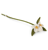 White Flowers on Branch