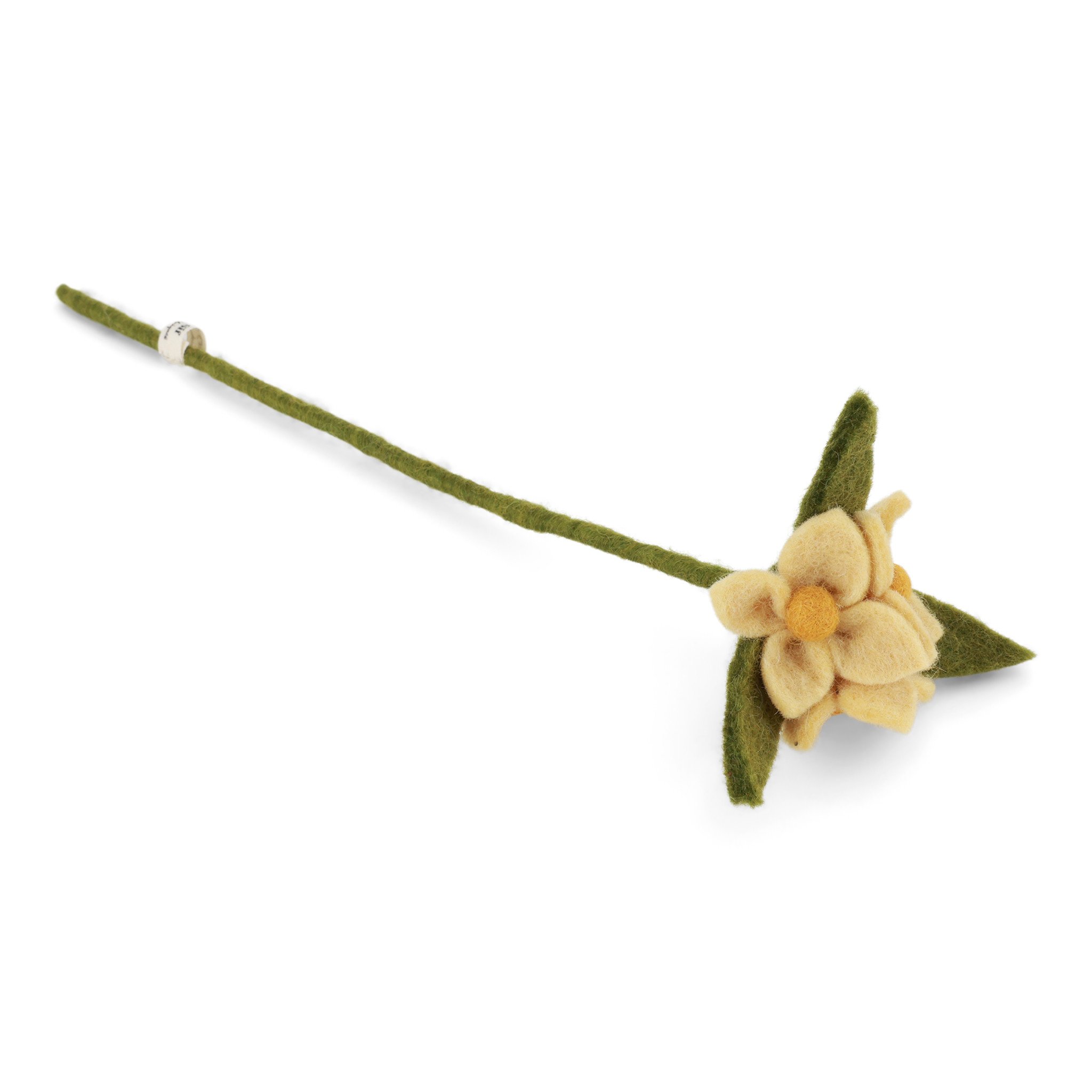 Dusty Light Yellow Flowers on Branch