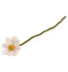Anemone White