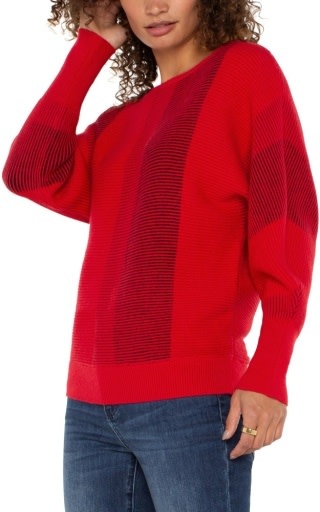 Liverpool Los Angeles long slv boat neck dolman colorblock sweater