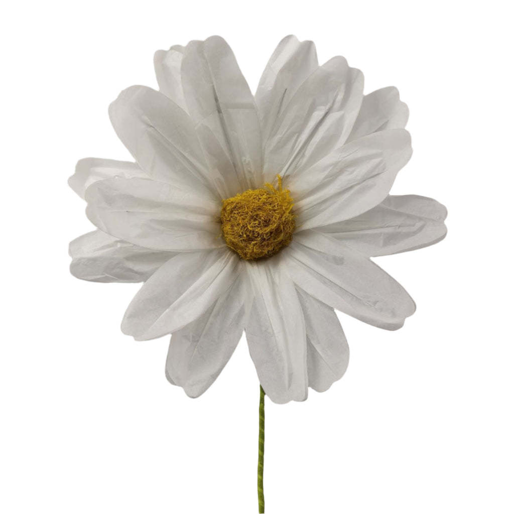 FLEURISH White Big Cosmos 43”