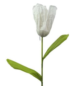FLEURISH White Giant Tulip 6’