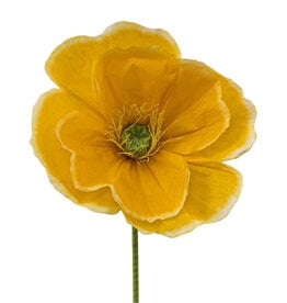 FLEURISH Yellow Giant Poppy 63”