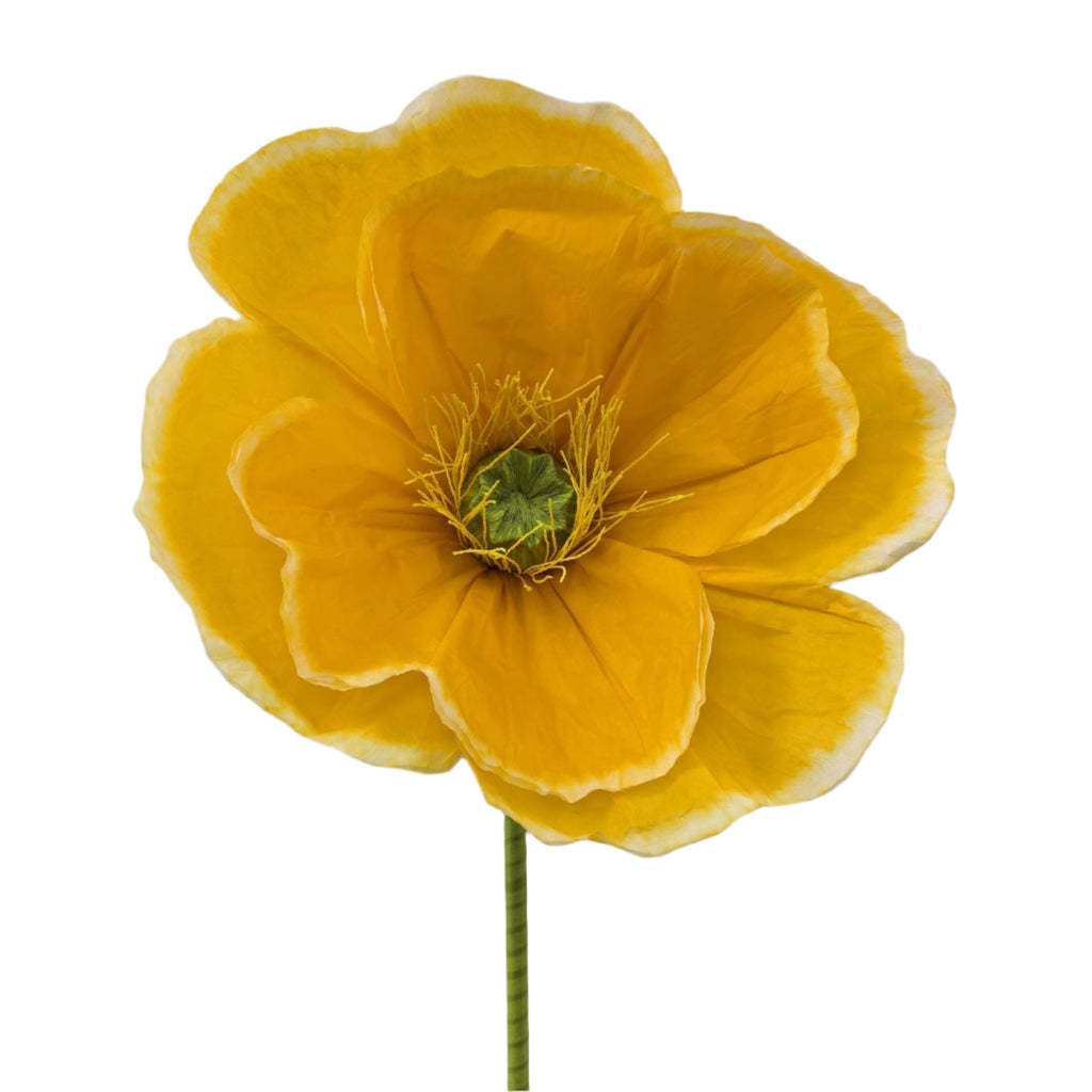 FLEURISH Yellow Giant Poppy 63”