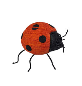 FLEURISH Orange Black Ladybug 3.5”