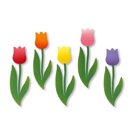 Roeda Studio Rainbow Tulip Magnets S/5
