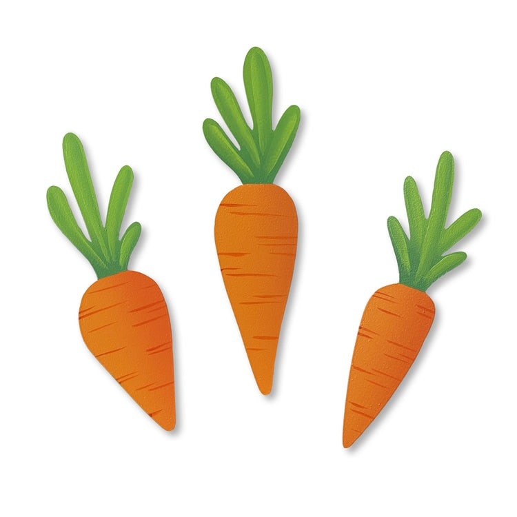 Roeda Studio Carrot Mini Art Pop Magnets S/3, Easter Decor, Harvest Decor