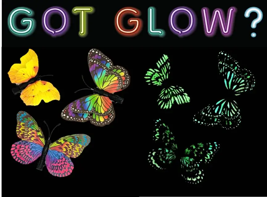 FLEURISH Butterfly Magnet (various) 3D, Glow-in-the-Dark