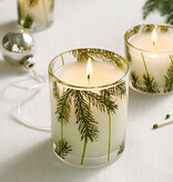Thymes Frasier Fir Heritage Pine Needle Poured Candle
