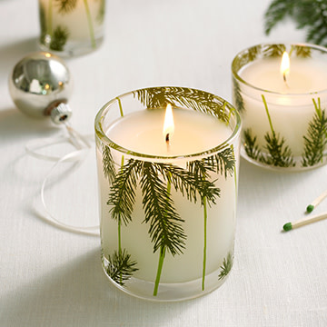 Thymes Frasier Fir Heritage Pine Needle Poured Candle
