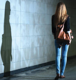 Mayday Mini Alarm Key Chain (various)