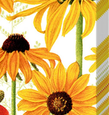 Boston International Pocket Tissues Pack of 10 Danielle