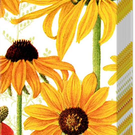 Boston International Pocket Tissues Pack of 10 Danielle