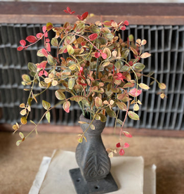 Lancaster & Vintage 12" Bog Pimpernel Bush | RED