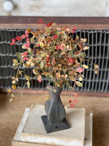 Lancaster & Vintage 12" Bog Pimpernel Bush | RED