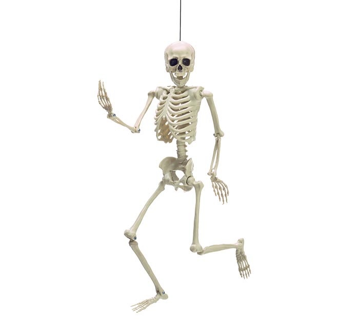 FLEURISH POSABLE SKELETON DECOR