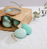 FLEURISH Robin Eggs Pack of 12