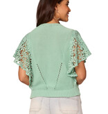 Democracy Light Winter Green Flutter Short Sleeve Mix Media Top