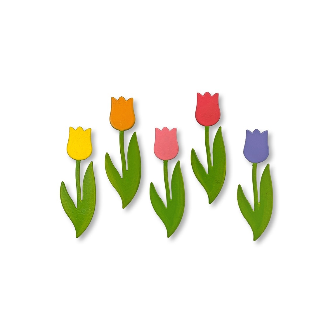 Roeda Studio Rainbow Tulip Magnets S/5