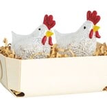 Mudpie Tortoise White Chicken S And P