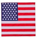 FLEURISH American Flag Bandana