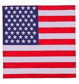 FLEURISH American Flag Bandana