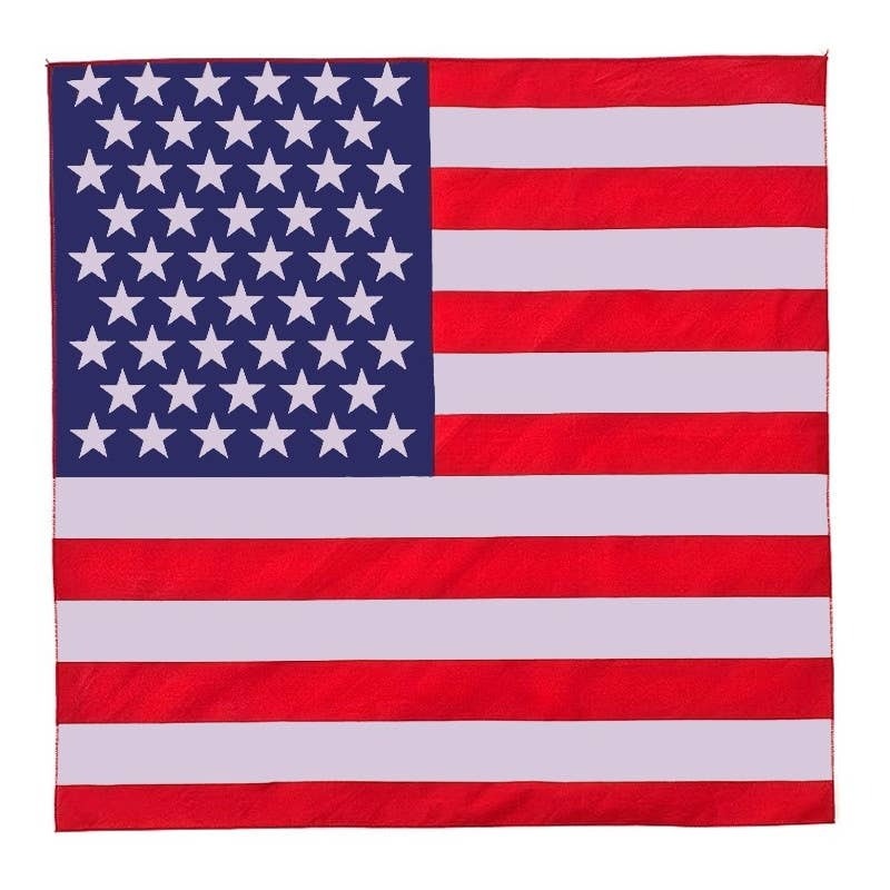 FLEURISH American Flag Bandana
