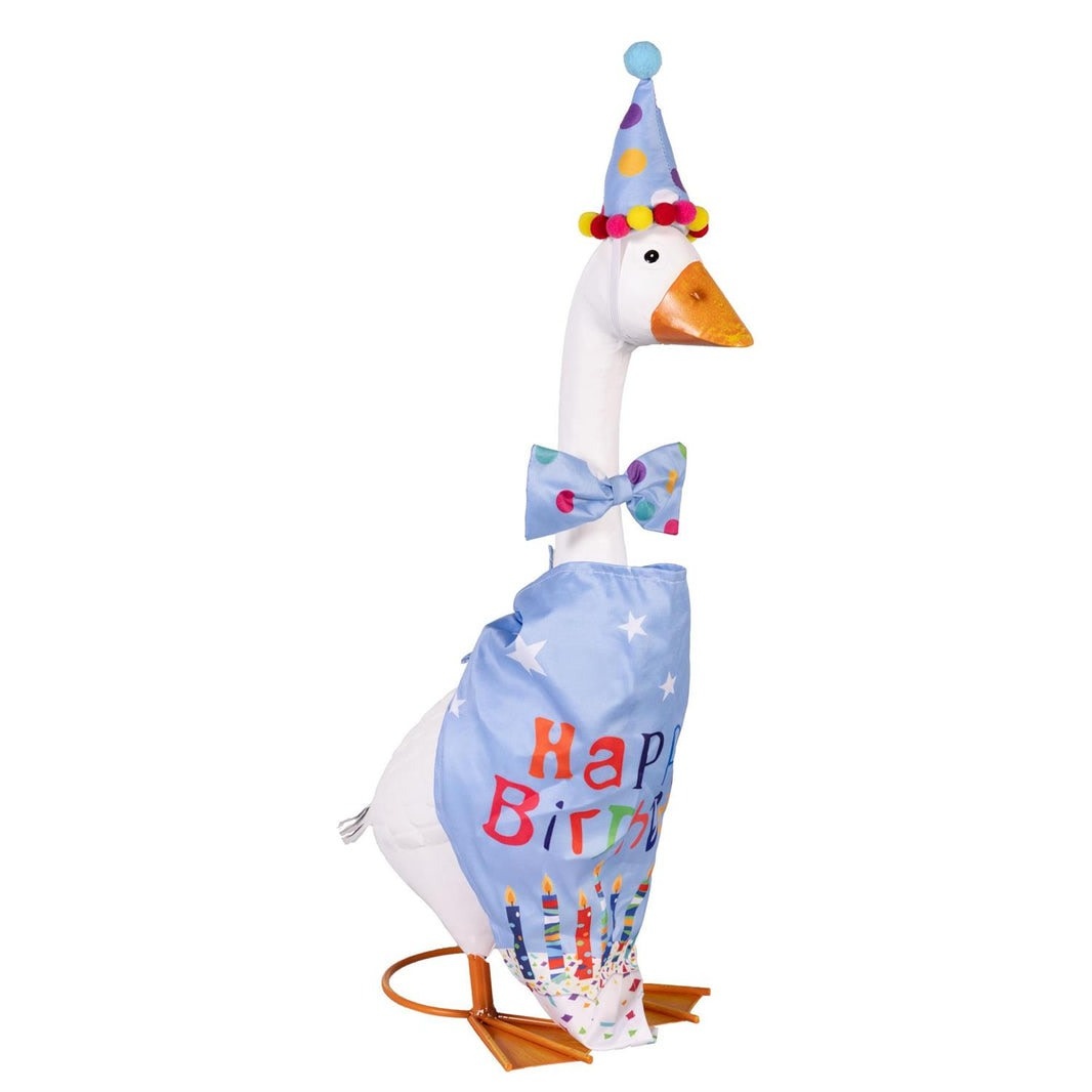 Evergreen Birthday Boy Porch Goose Outfit