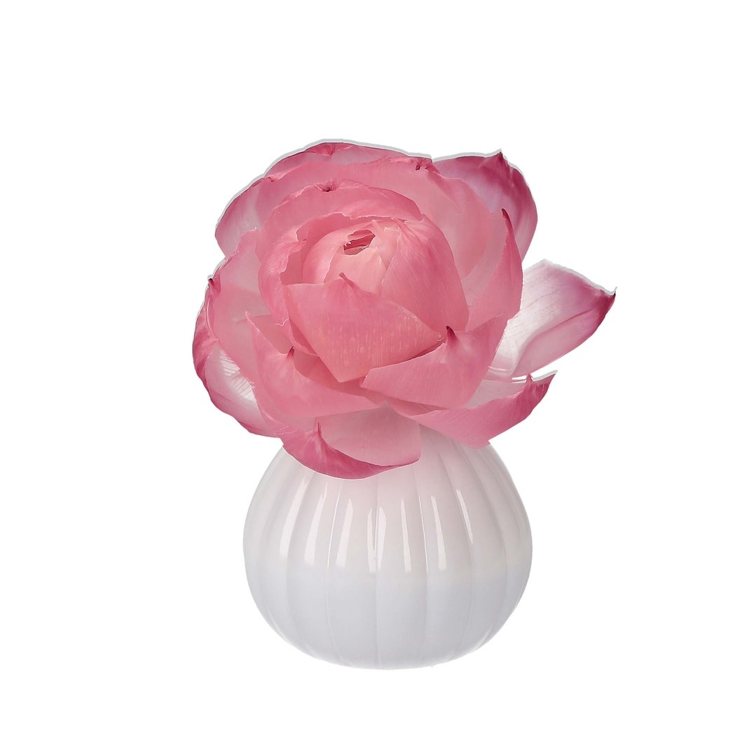 Bridgewater Candle Company Sweet Grace Flower Diffuser