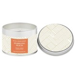 Michel Design Works MDW Sparkling Peach Travel Candle