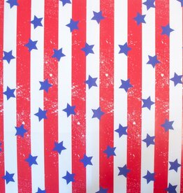 Boston International All American Grub Paper Patriotic - Eat Drink Host