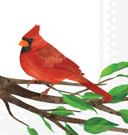 Boston International Paper Cocktail Napkins 20 Ct Cardinal