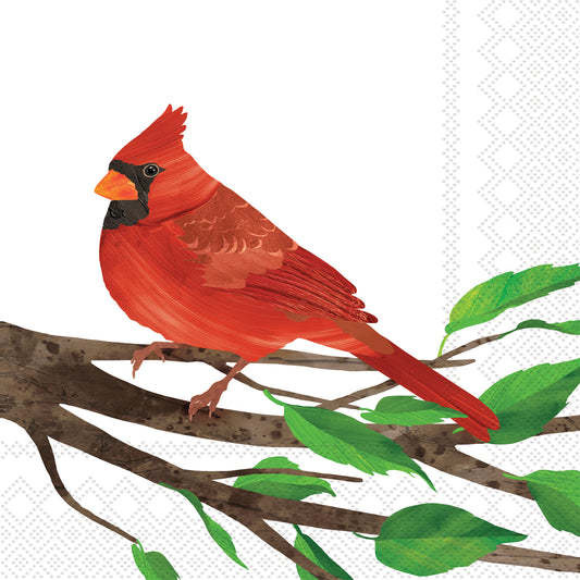 Boston International Paper Cocktail Napkins 20 Ct Cardinal