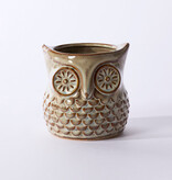 FLEURISH Great Grey Owl Pot 4.75"x 4.75"