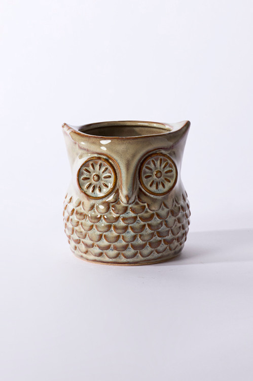 FLEURISH Great Grey Owl Pot 4.75"x 4.75"