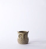 FLEURISH Great Grey Owl Pot 4.75"x 4.75"