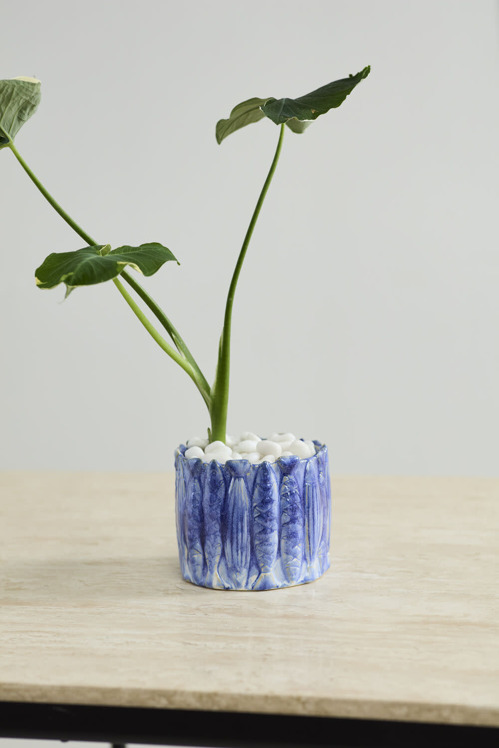 FLEURISH Amalfi Pot 6"x 5"