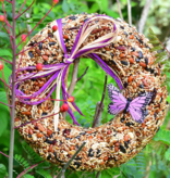 Mr. Bird WildFare Bird Seed Wreath (butterfly)