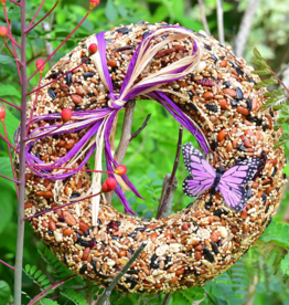 Mr. Bird WildFare Bird Seed Wreath (butterfly)