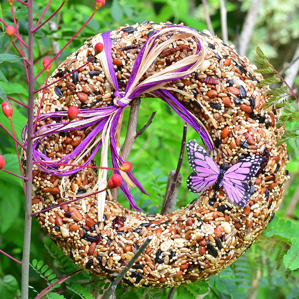 Mr. Bird WildFare Bird Seed Wreath (butterfly)