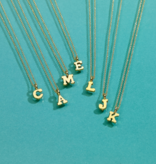 Plata Gold Initial Necklace