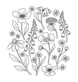 Schiffer Publishing On the Bright Side Coloring Book: Floral Patterns