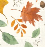 Boston International Paper Cocktail Napkin Pack of 20 Harvest Leaves Allover Fall