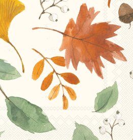 Boston International Paper Cocktail Napkin Pack of 20 Harvest Leaves Allover Fall