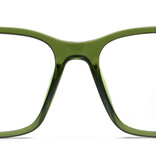 Peepers Green Wilder Blue Light Reading Glasses