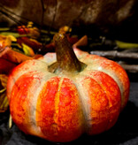 FLEURISH Harveston Pumpkin 4x4x3in