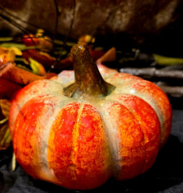 FLEURISH Harveston Pumpkin 4x4x3in