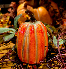 FLEURISH Harvest Crest Pumpkin 4x4x7in
