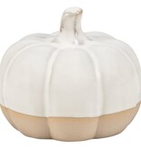 Small Ceramic Pumpkin w White Glazing